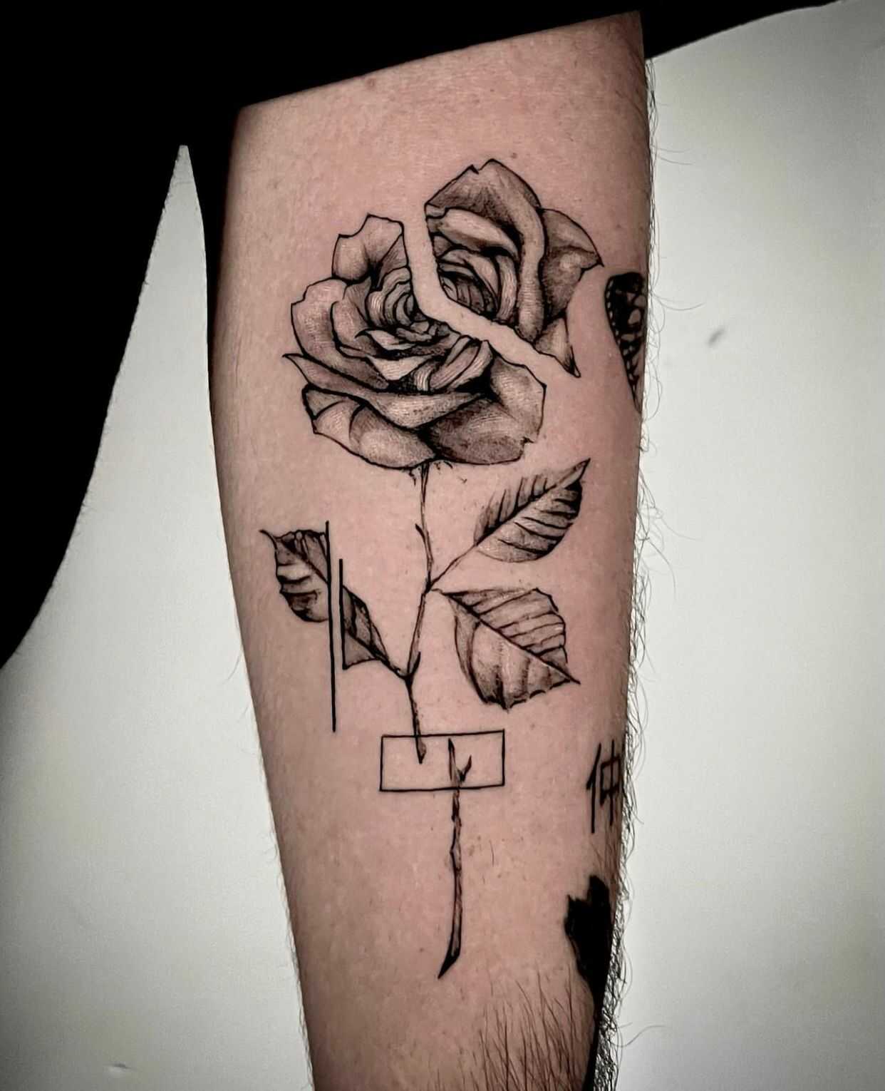 whatsapp-image-2023-06-08-at-11_optimized.31.59