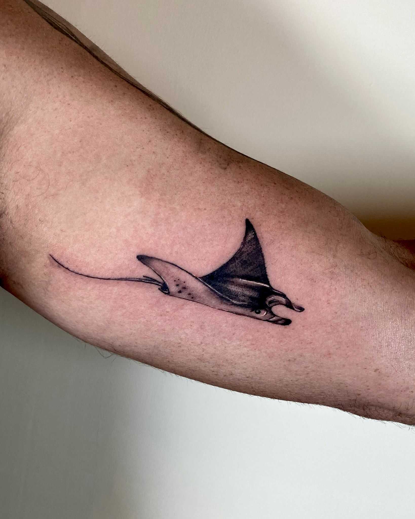 whatsapp-image-2023-06-08-at-11_optimized.32.04